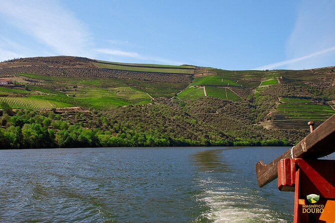 1-Hour Rabelo Boat Trip in Pinhão - Entering the UNESCO Douro from Pinhão’s Cais C
