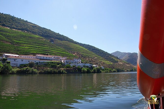 1-Hour Rabelo Boat Trip in Pinhão - The Rabelo boat itself: open air, covered comfort, and easy year-round use