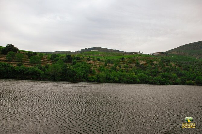 1-Hour Rabelo Boat Trip in Pinhão - Timing and pacing: why the hour can feel short