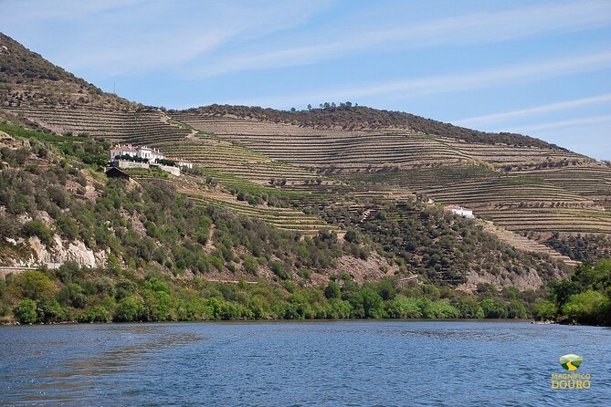 1-Hour Rabelo Boat Trip in Pinhão - The best fit: who will enjoy this most