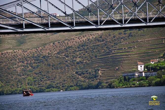 1-Hour Rabelo Boat Trip in Pinhão - The route in plain terms: Eiffel bridge, Roncão, and back again