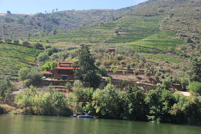 2-hour Rabelo Boat tour in Pinhão - Comfort, shade, bathrooms, and what to bring