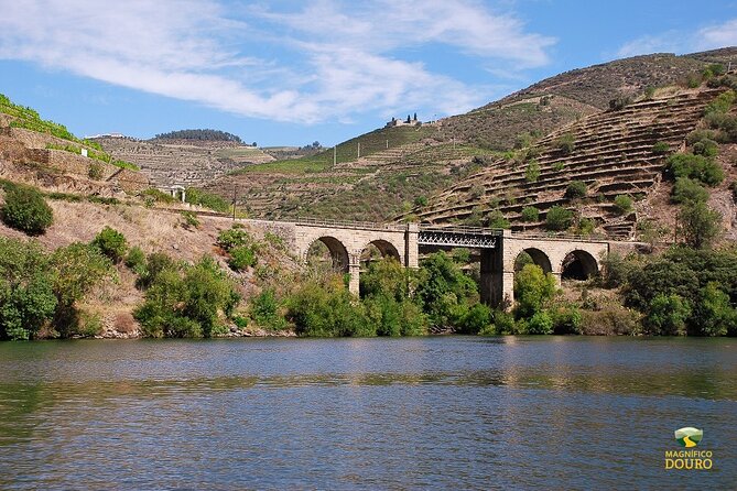 2-hour Rabelo Boat tour in Pinhão - Sailing the Douro in the UNESCO demarcated wine zone