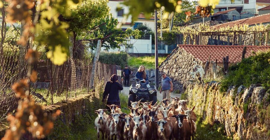 2h Quad Tour • Arcos de Valdevez • Peneda Gerês - You drive the quad, so the experience stays real