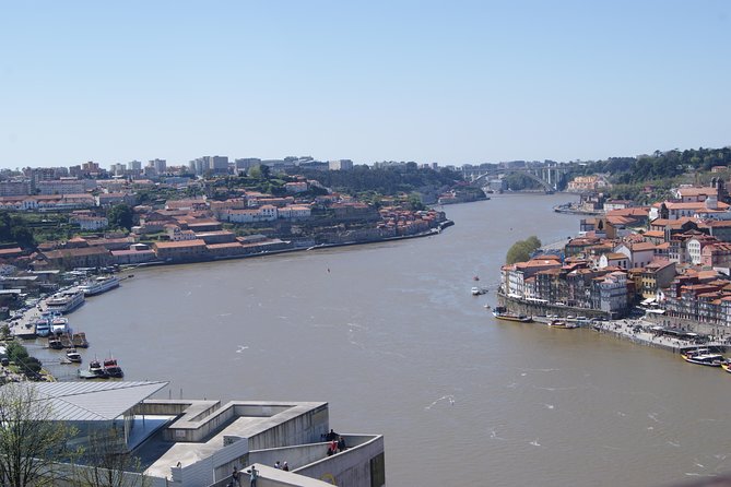 3-Hour Guided Walking Tour of Porto - Logistics that matter: tickets, transit access, and getting there smoothly