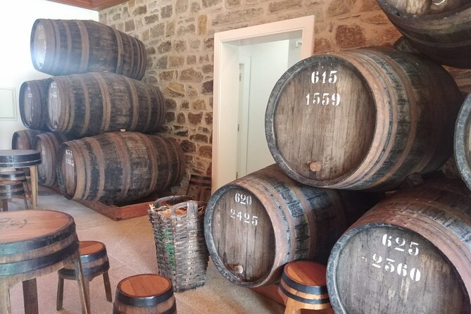 3-Hour Tour to Discover Pinhão - Moment of Discovery - Key highlights worth your attention
