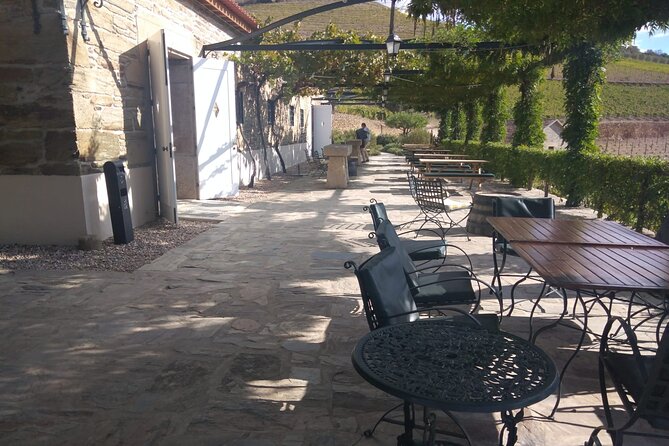 3-Hour Tour to Discover Pinhão - Moment of Discovery - Quinta time in Pinhão: farm visit plus three wine tastings