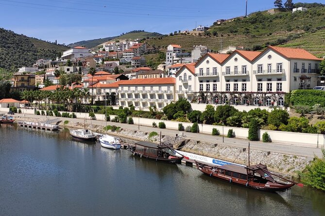 3-Hour Tour to Discover Pinhão - Moment of Discovery - The 50-minute Douro River cruise: quick, scenic, and easy