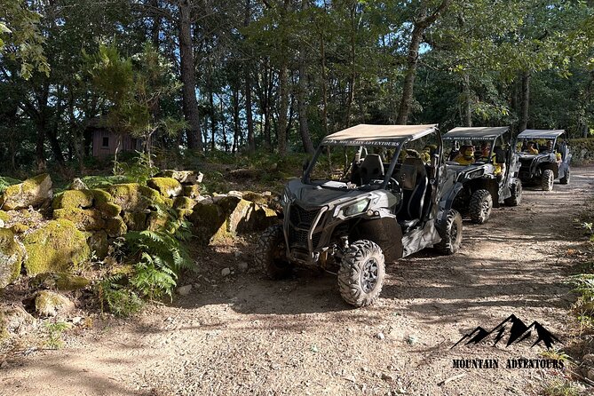 30 minutes Buggy Ride - Key things to know