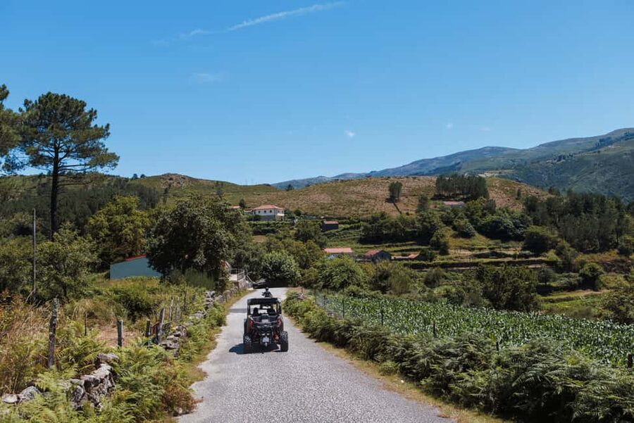 4h Buggy Tour • Arcos de Valdevez • Peneda Gerês - Wildlife odds: cows, horses, and why you should watch roadside clearings