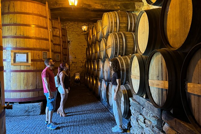4x4 Adventure in Douro: Wine Tasting, Boat Trip and Lunch - Riding Out from Pinhão or Tabuaço, with a 9:00 Start