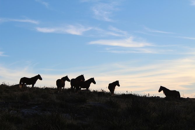 4X4 Tour - Discovering Serra d´ Arga - Pickup, timing, and what a 9-hour loop really means