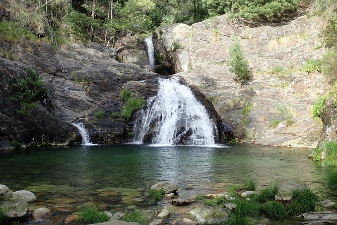 4X4 Tour - Discovering Serra d´ Arga - Local gastronomy: how the day fits food into the scenery