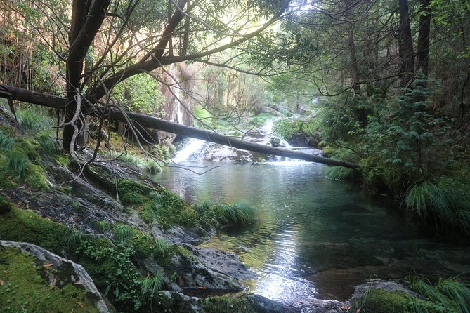 4X4 Tour - Discovering Serra d´ Arga - Guide style: Miguel and Rui make the day feel personal