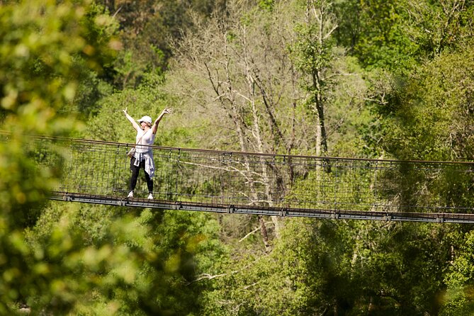 516 Arouca Bridge & Paiva Walkways Tour with Lunch from Porto - Value and group size: how the $139.07 feels in real life