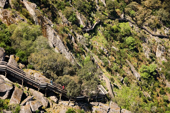 516 Arouca Bridge & Paiva Walkways Tour with Lunch from Porto - Arouca first stop: monastery sweets and a quick taste of town life
