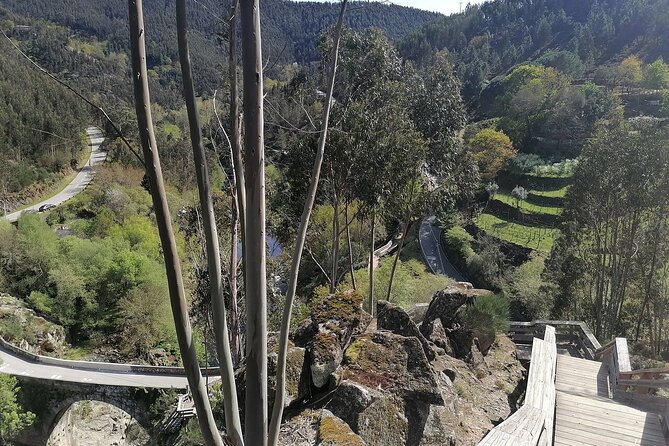 Adventure Paiva Passages: Suspension Bridge and Picnic | Porto - Noon Picnic in Nature: The Meal That Changes the Mood