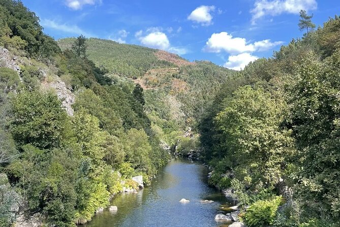 Adventure Paiva Passages: Suspension Bridge and Picnic | Porto - Who This Tour Fits Best (And Who Should Skip It)