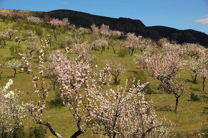 Amendoeiras em Flor - How Tough Is This Hike, Really?