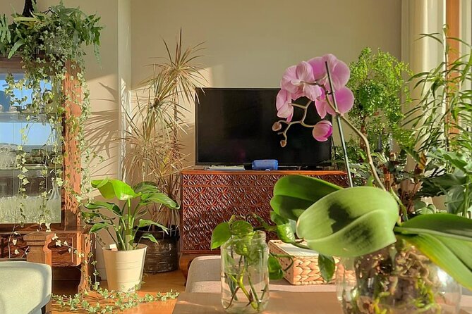 An Unforgettable Evening: Authentic Portuguese Dinner in Porto - Conversation that goes beyond small talk