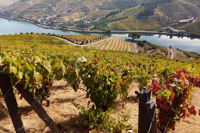 Authentic Douro Valley - small-Group Tour (Max 7) - UNESCO-listed village stops and the “take your time” photo moments