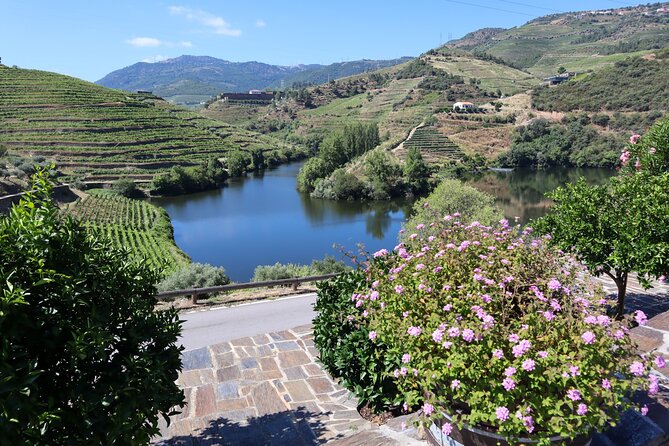 Authentic Small Group Douro Wine Tour with Lunch & River Cruise - The N222 drive: scenery with momentum, not standing still