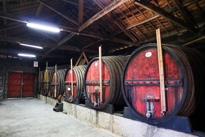 Authentic Small Group Douro Wine Tour with Lunch & River Cruise - Quinta do Tedo: your first tasting and the wine-making basics