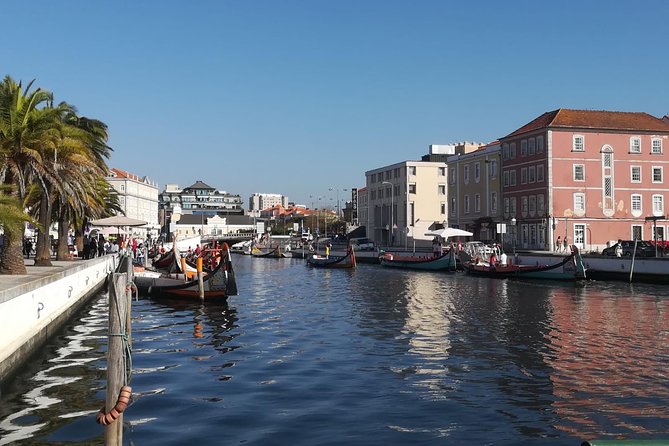 Aveiro and Coimbra Small Group Tour with Moliceiro Boat Cruise - Driving Time and the Pace of a 9-Hour Porto Day Trip
