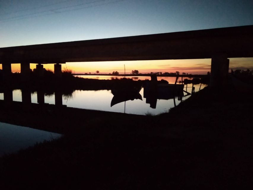 Aveiro: Boat Cruise and City Walking Tour with Sweet Tasting - Key highlights at a glance