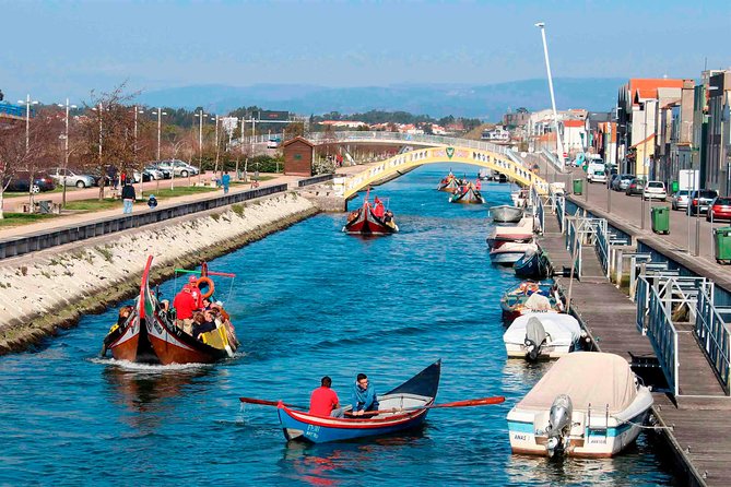 Aveiro Canal Cruise in Traditional Moliceiro Boat - A Traditional Moliceiro Boat, Not a White-Knuckle Tour
