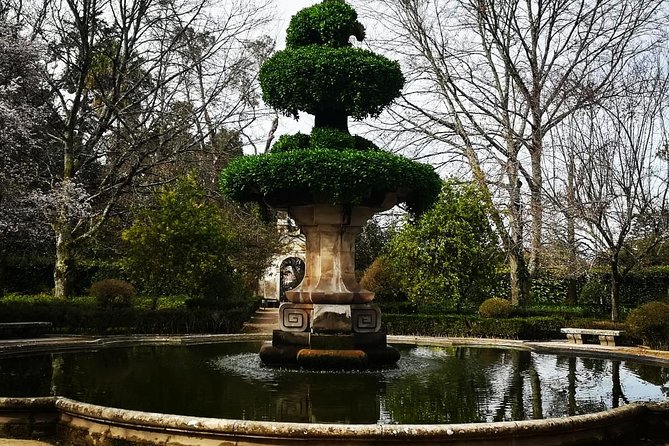 Aveiro, Costa Nova and Coimbra Private Tour From Porto - Biblioteca Joanina and University of Coimbra: big names, short stops