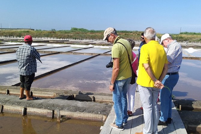Aveiro & Costa Nova Private Tour – Canals & Striped Houses - São Jacinto dunes: nature quiet, classic moliceiro vibes