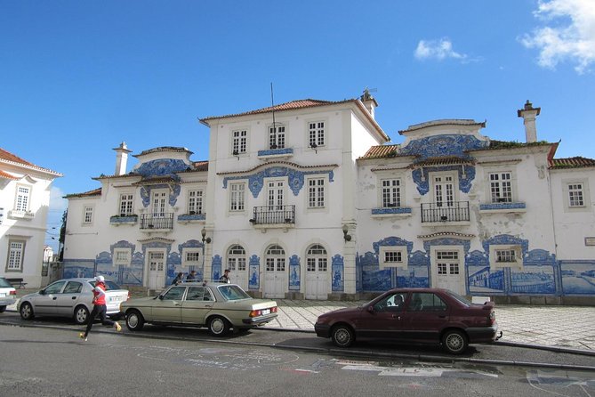 Aveiro & Costa Nova Private Tour – Canals & Striped Houses - Marinha da Noeirinha salt flats: history you can still see working