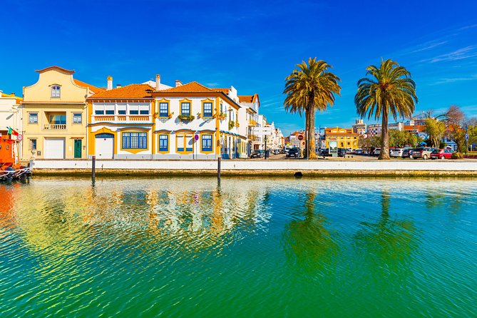 Aveiro Half Day Private Tour Porto w/ Moliceiro River Cruise - Entering Aveiro From Porto, the real point of this half day