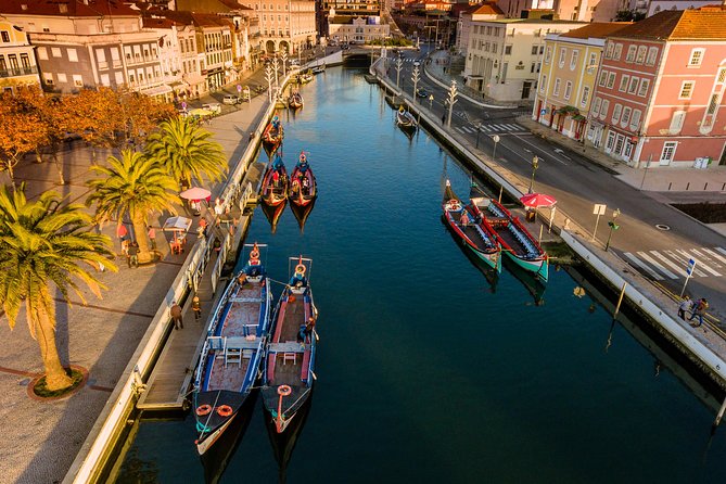 Aveiro Half Day Private Tour Porto w/ Moliceiro River Cruise - Mercado do Peixe and Museu de Arte Nova, plus that sweet stop
