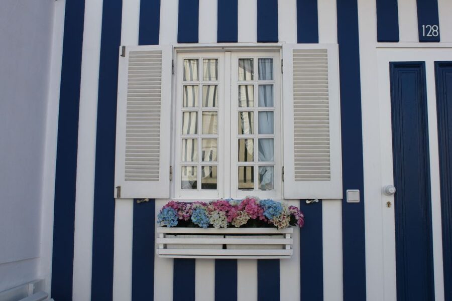 Aveiro: Half Day Tour with Boat Ride - Price and value: is $94 for a half-day worth it?