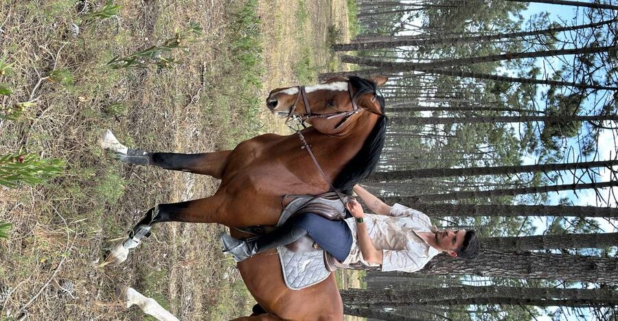 Aveiro: Horse Riding Experience with Instructor - Key Points You’ll Notice Right Away