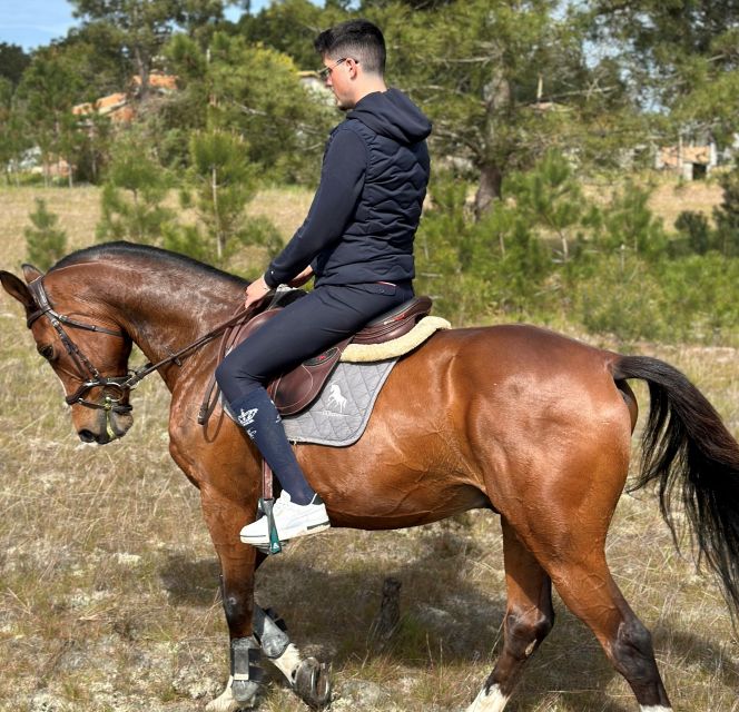 Aveiro: Horse Riding Experience with Instructor - The 6 km Forest Ride and What It Means for Your Experience