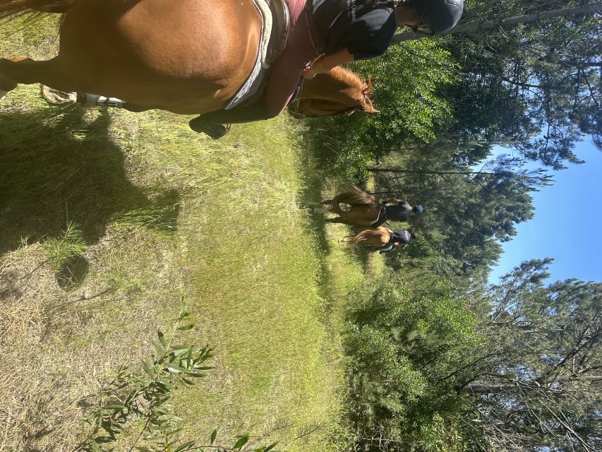 Aveiro: Horse Riding Experience with Instructor - Price and Value: What $53 Buys in This 1-Hour Experience