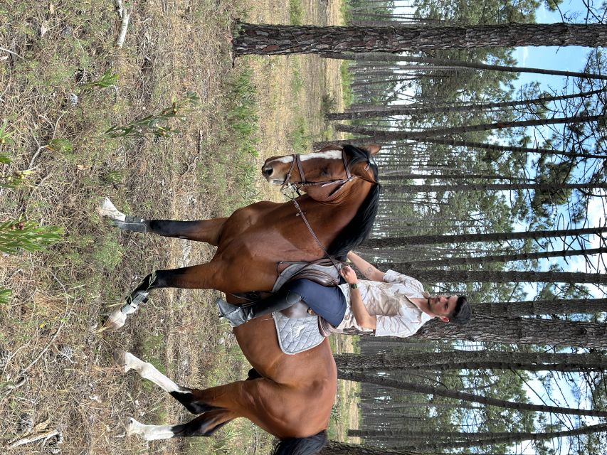 Aveiro: Horse Riding Experience with Instructor - Who This Ride Fits Best