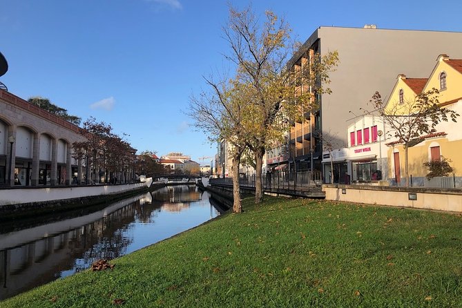 Aveiro Rent a Bike - 4 hours - Why Renting Here Makes Aveiro Feel Like a Small Win