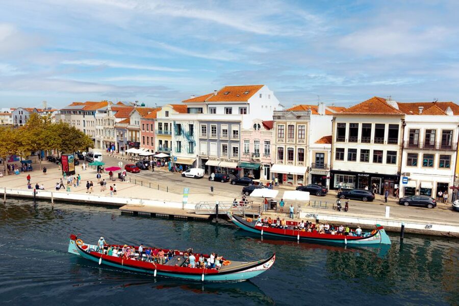 Aveiro: Scenic Guided Boat Tour - Glide Through the Central Canal and Canal do Côjo
