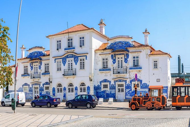 Aveiro Small-Group: Half Day Tour with Boat Ride - Costa Nova Beach: Striped Fishing Houses and Sea-Salt Atmosphere