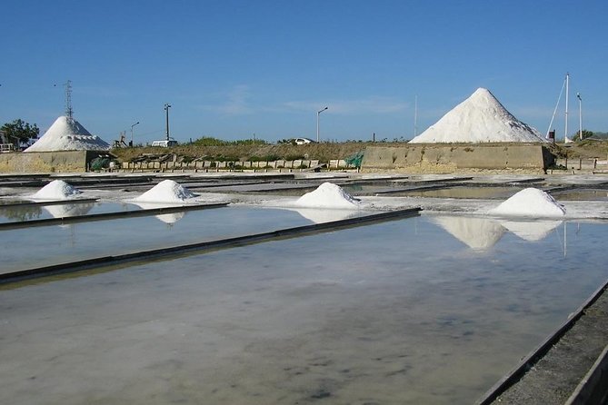 Aveiro Small-Group: Half Day Tour with Boat Ride - The Moliceiro Boat Ride on the Ria de Aveiro: What It Feels Like
