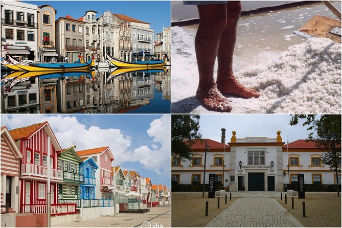 Aveiro Tour Small group, Moliceiro Cruise, Costa Nova, Vista Alegre & Lunch - Key highlights worth getting excited about