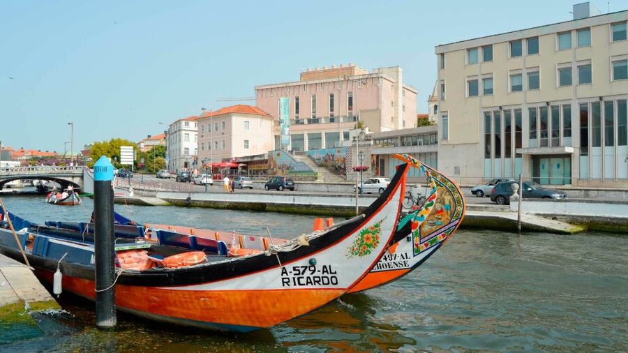 Aveiro: Traditional Moliceiro Boat Cruise - Meet at Aveiro com Paixão: check-in that keeps you moving