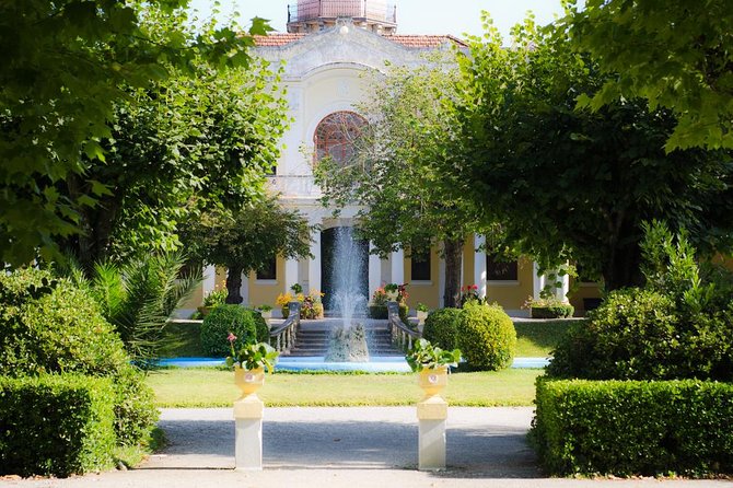 Bairrada Private Tour (Luso & Curia Villages) with Wine Tasting - Timing, traffic, and how to plan your afternoon