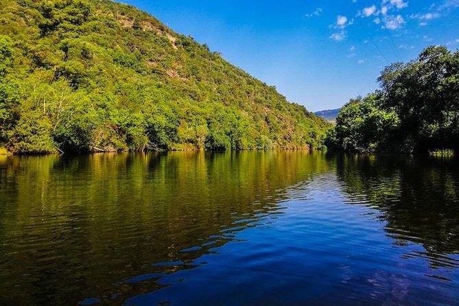 Best of Douro Valley Wine Full Day Private Tour - Why This Private Douro Day Feels Different