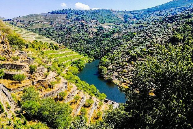 Best of Douro Valley Wine Full Day Private Tour - Key Highlights You Should Care About