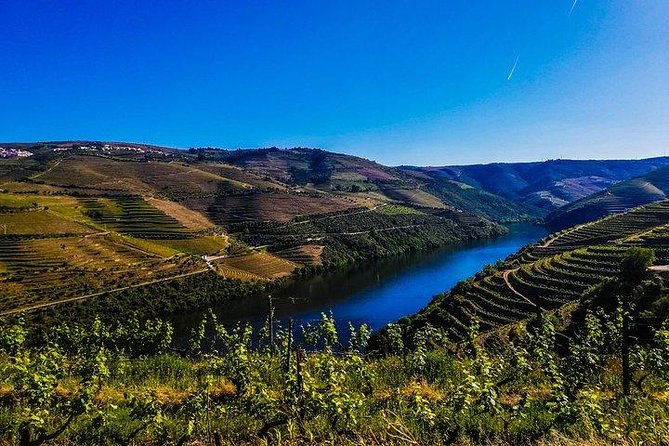 Best of Douro Valley Wine Full Day Private Tour - Bruno as Your Host: Private Guide Value You Can Feel